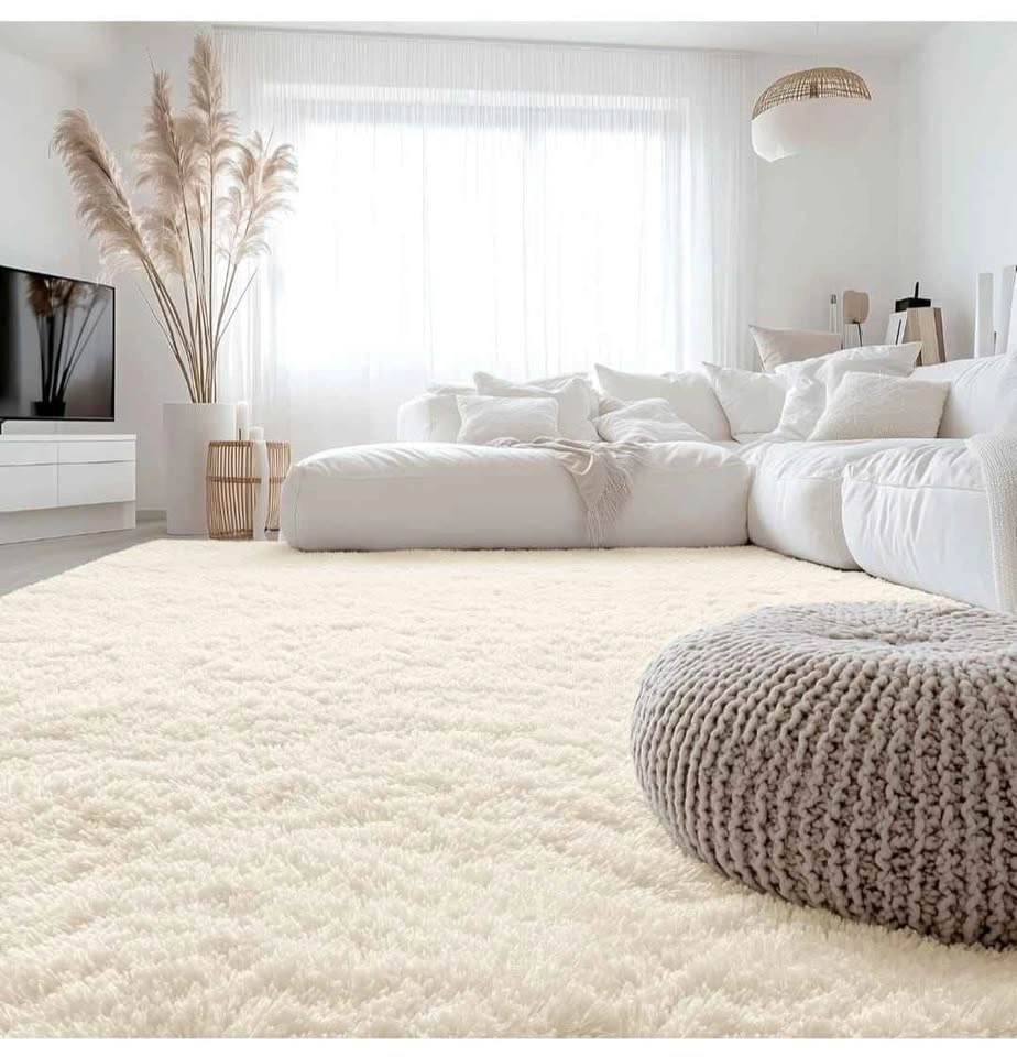 8x10 ft Fluffy Area Rug for Living Room Bedroom - photo 2