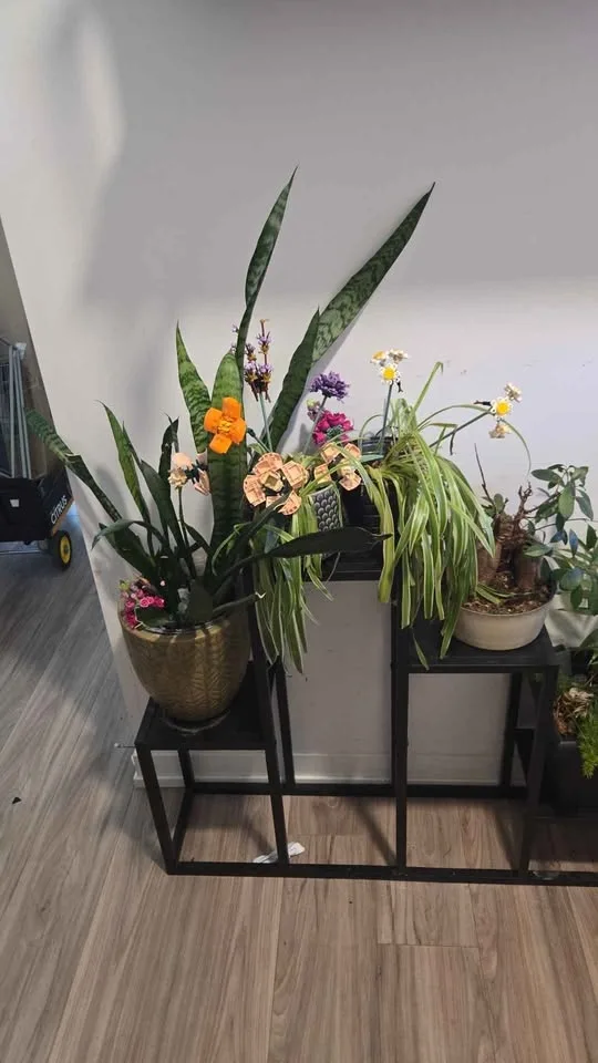 Multi level indoor/patio plant holder - photo 2