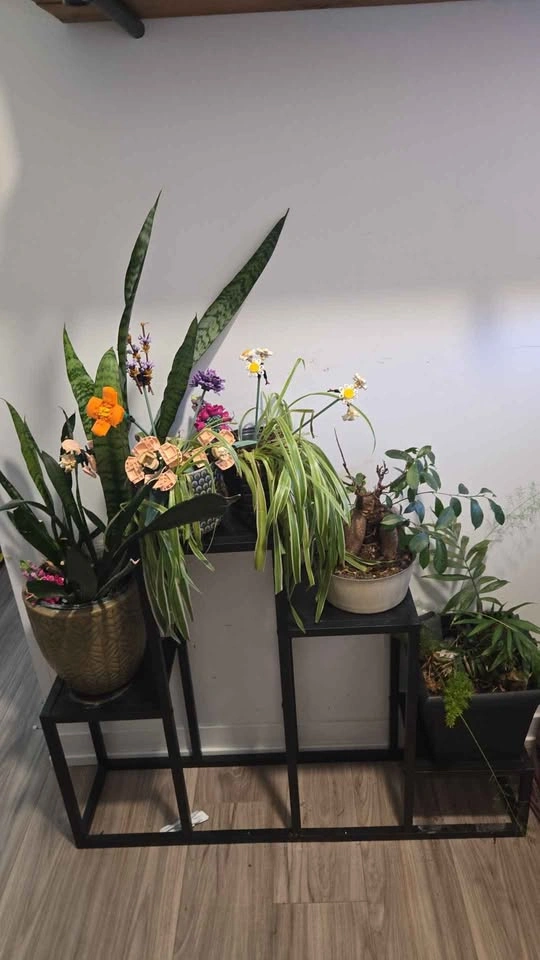 Multi level indoor/patio plant holder - photo 3
