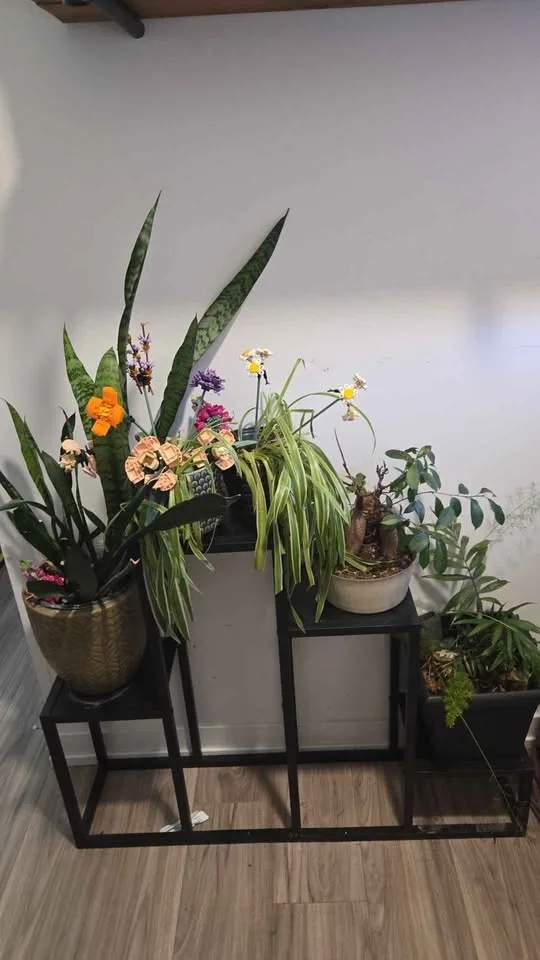 Multi level indoor/patio plant holder - photo 3