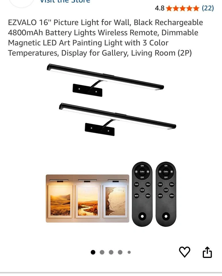 Pack of 2 Rechargeable LED Picture Lights