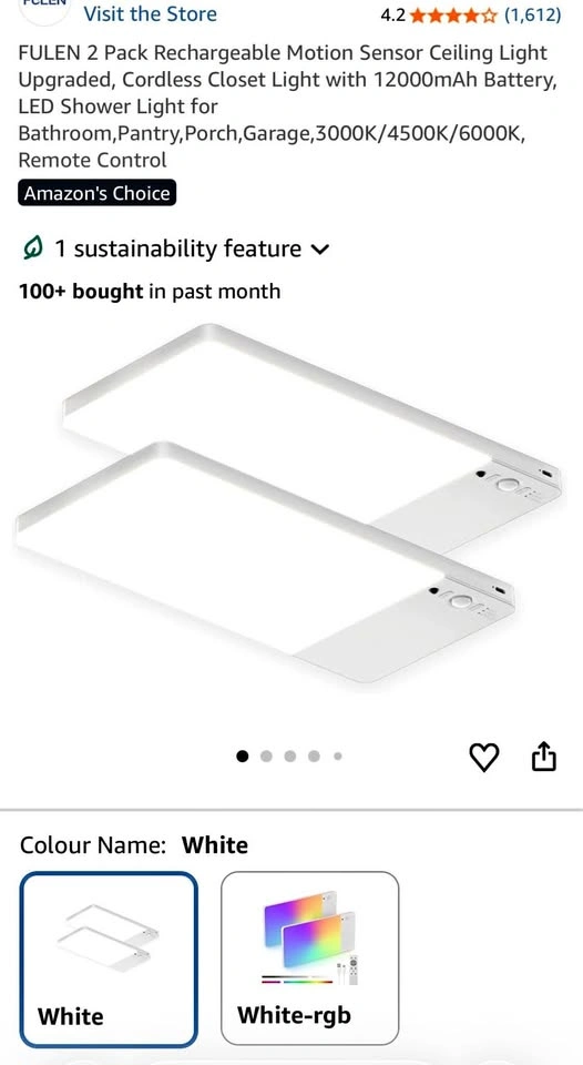 Fulen LED Motion Sensor Ceiling Light - 2 Lights