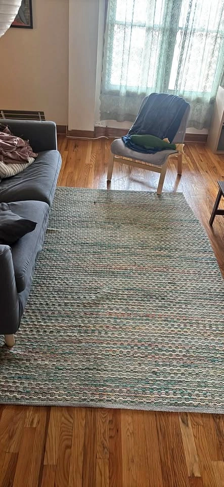 Woven Living Room Rug
