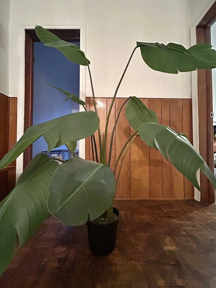 KEA FEJKA Artificial Potted Plant — Bird of Paradise