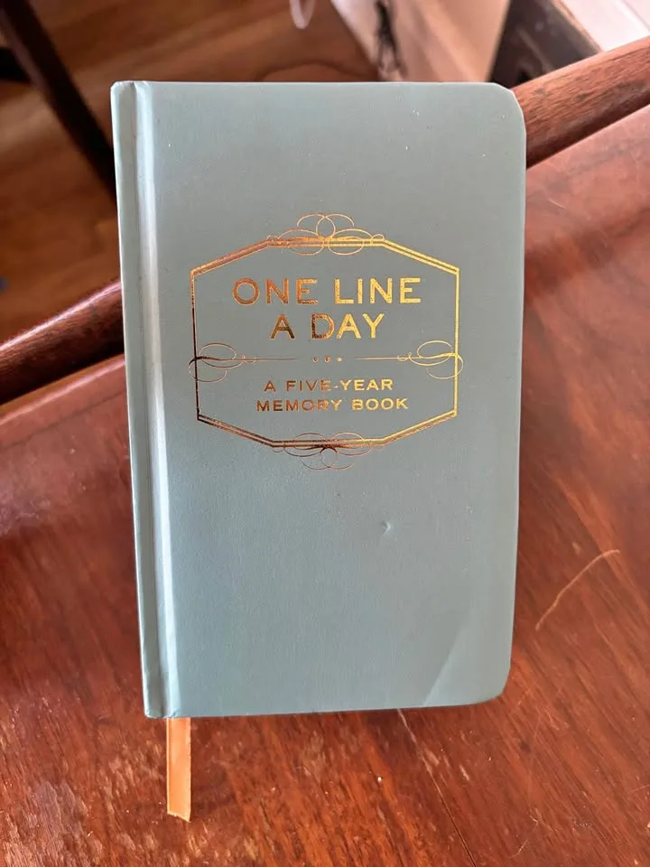 One line a day journal thumbnail