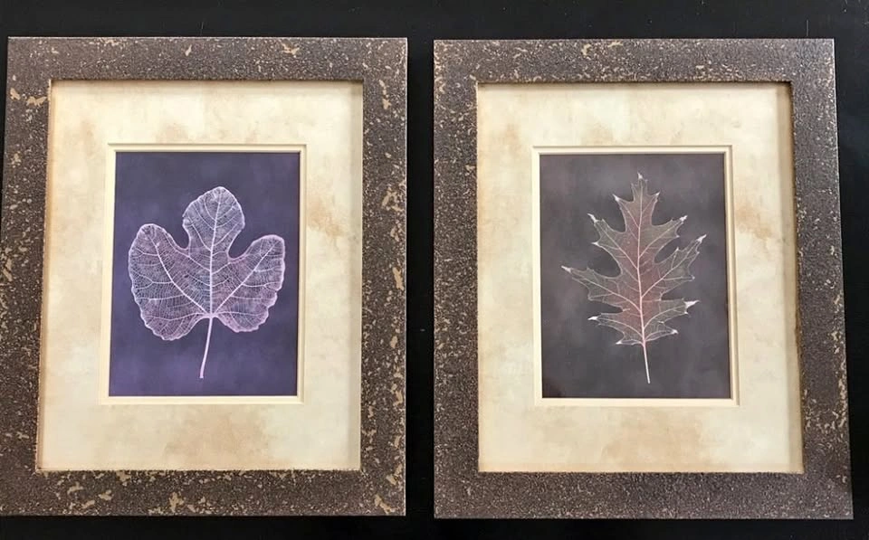 Framed Decorative Art Prints by Julie Greenwood