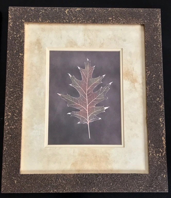 Framed Decorative Art Prints by Julie Greenwood - photo 2