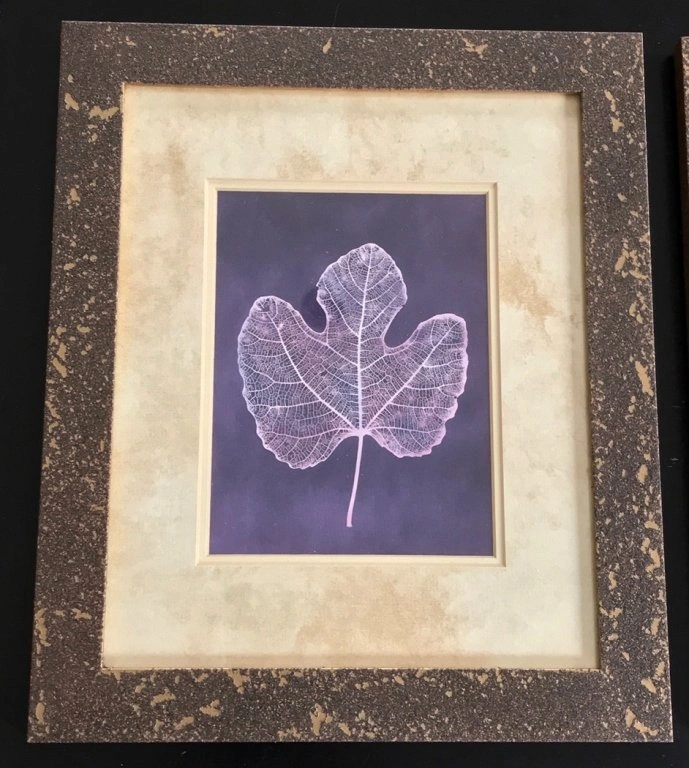 Framed Decorative Art Prints by Julie Greenwood - photo 3