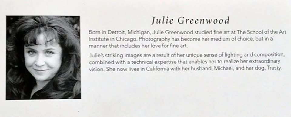 Framed Decorative Art Prints by Julie Greenwood - photo 4