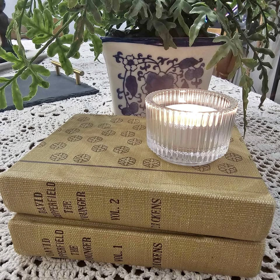 Vintage Dickens Book Set (1911)