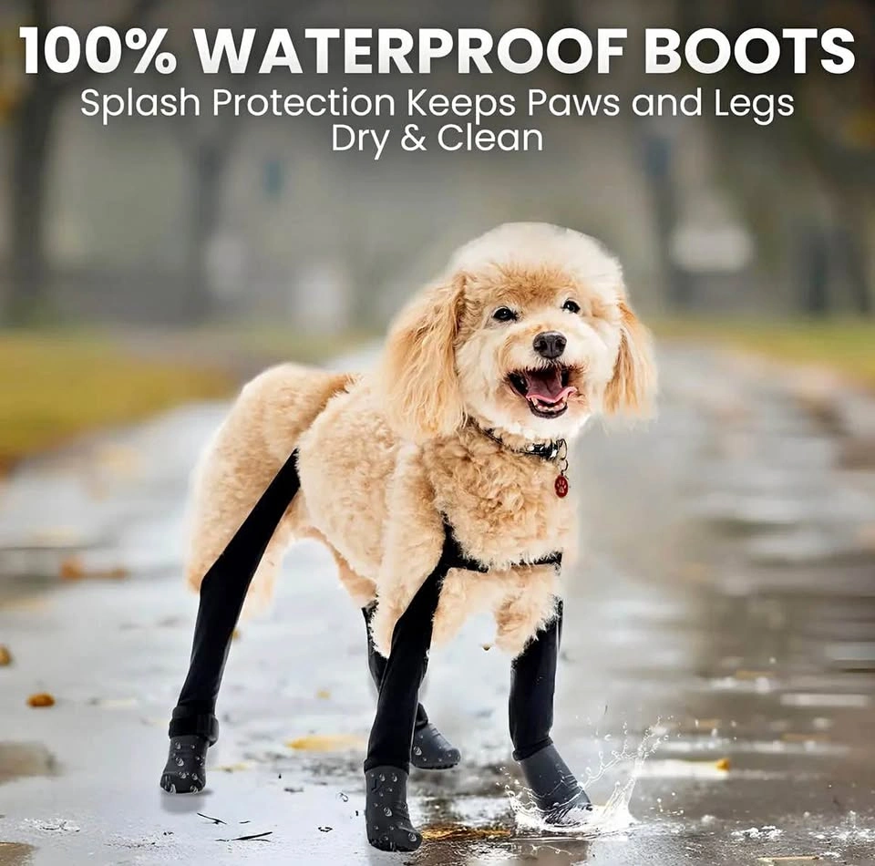 Walkee Paws LG Suspender Dog Boots