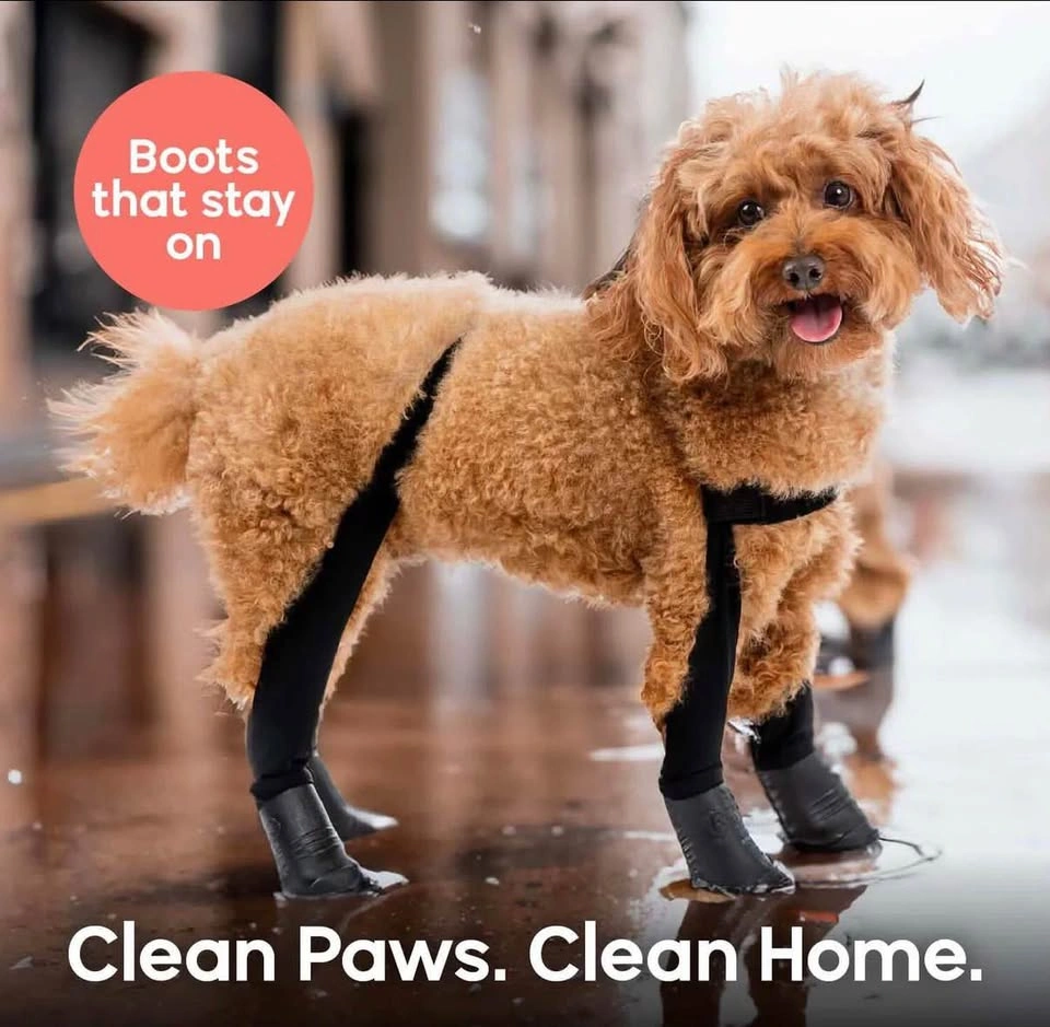 Walkee Paws LG Suspender Dog Boots - photo 2