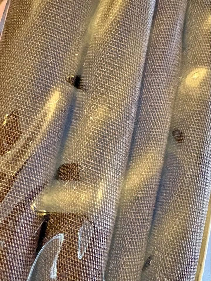 Queen flat sheet new