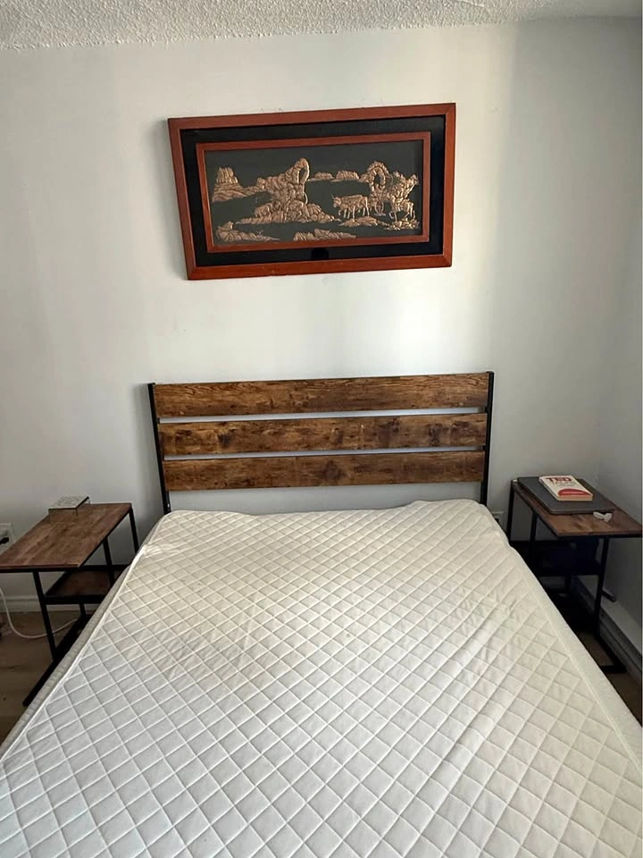 Queen Bed with Mattress and Side Table Set