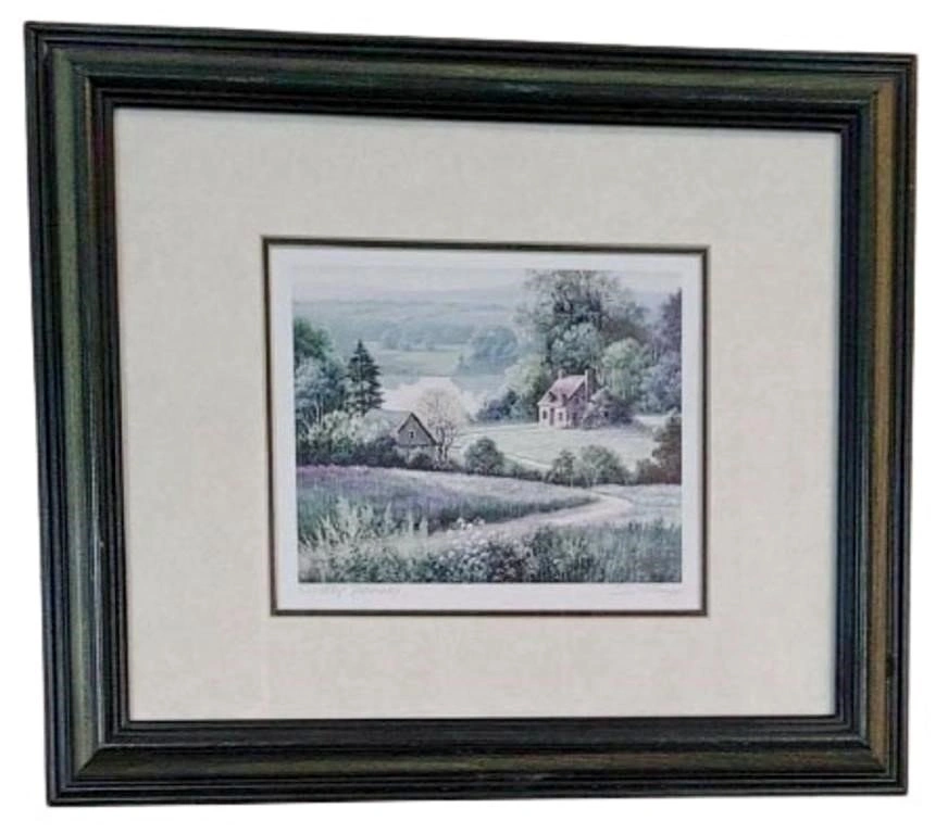 Dubravko Raos Framed Decorative Art Print Country Pathway