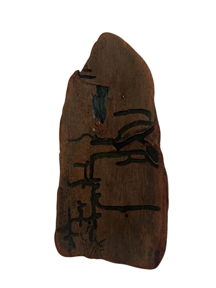 Vancouver Island Driftwood Wall Art - Insect Gallery Pattern