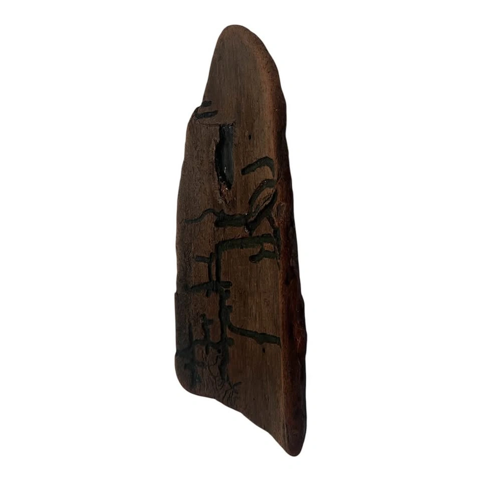 Vancouver Island Driftwood Wall Art - Insect Gallery Pattern - photo 2