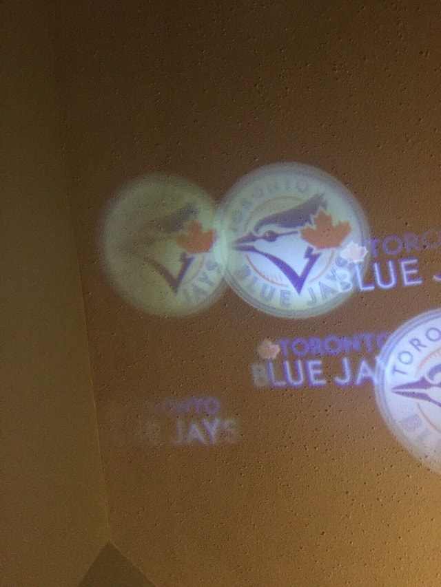 Toronto Blue Jays LED Spotlight - Indoor/Outdoor - photo 4