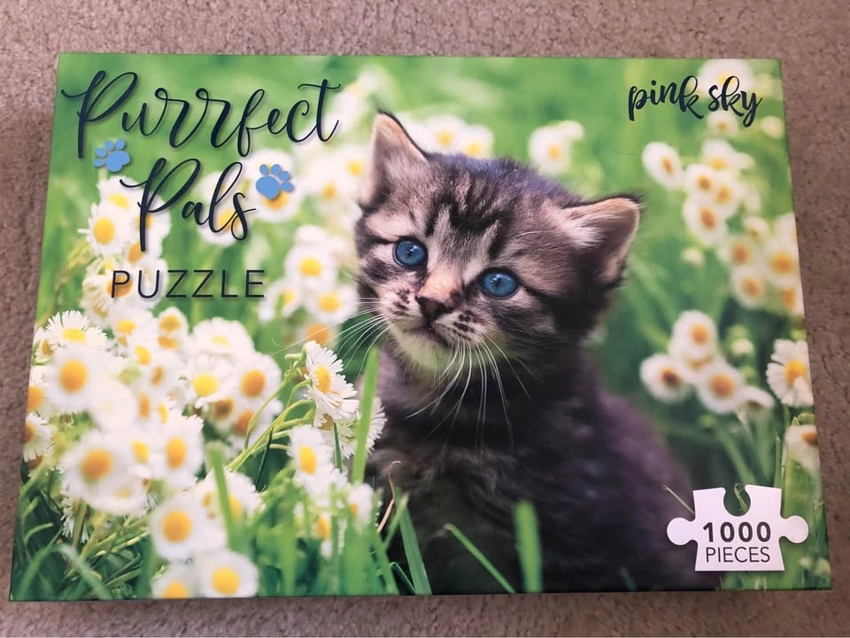 1000 Piece Puzzle