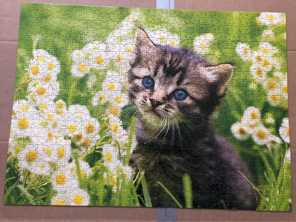 1000 Piece Puzzle - photo 2