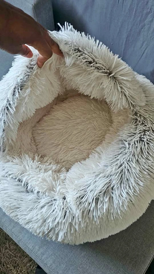 Comfy, cozy hide and seek cat bed