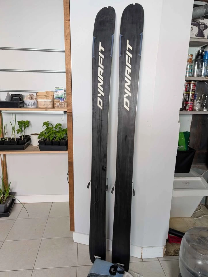 Dynafit Chugach Skis w/ Bindings & Skins - 173cm - photo 5