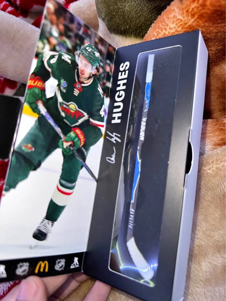 Quinn Hughes Minnesota Wild Mini Hockey Stick – NHL Collectible