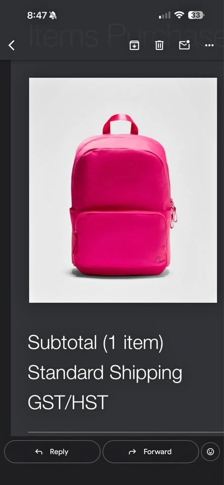 Lululemon Everywhere Backpack 22L