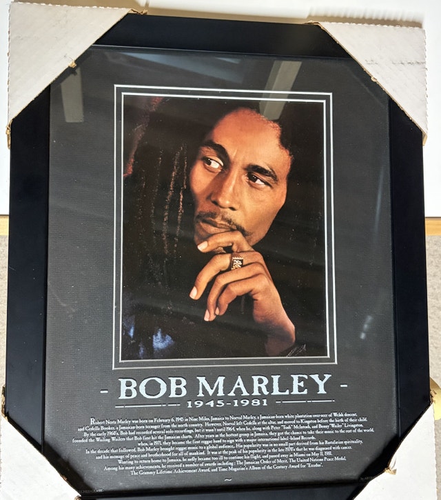 Bob Marley Etched Glass Framed Print