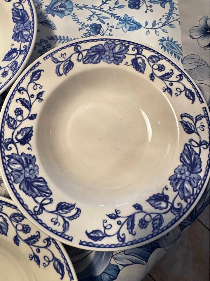 Beautiful White & Blue Floral Soup Plates