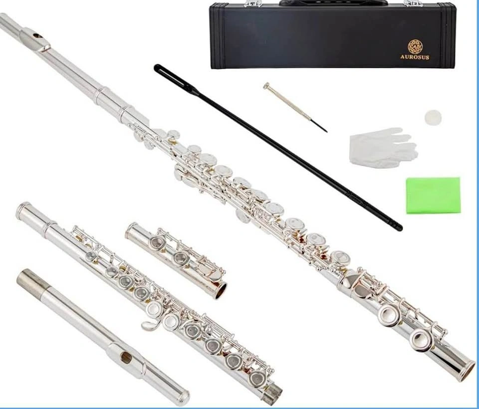 New in Box-16 17 keys offset g e key colour c flute