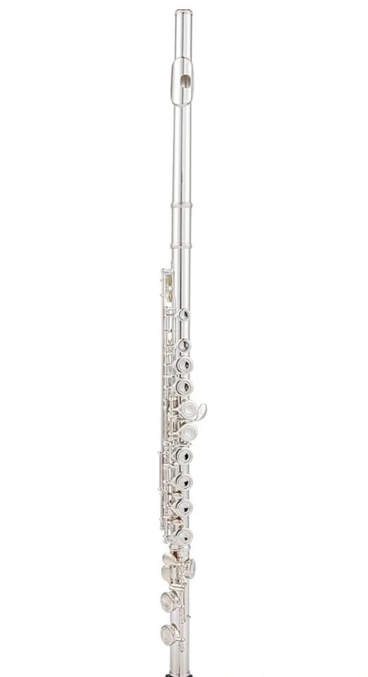 New in Box-16 17 keys offset g e key colour c flute - photo 2