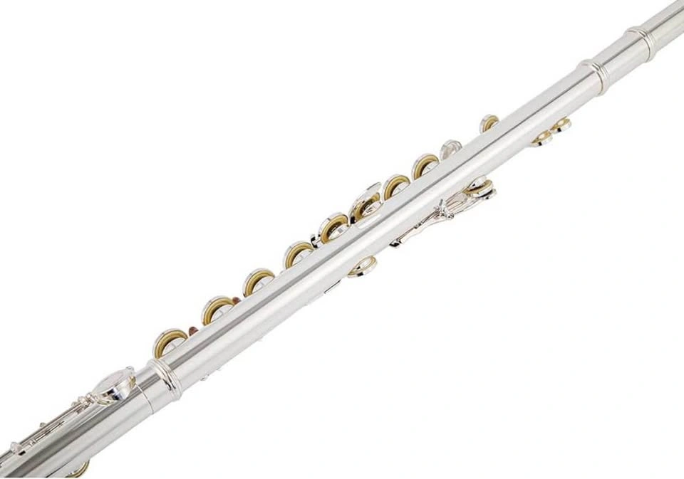 New in Box-16 17 keys offset g e key colour c flute - photo 3