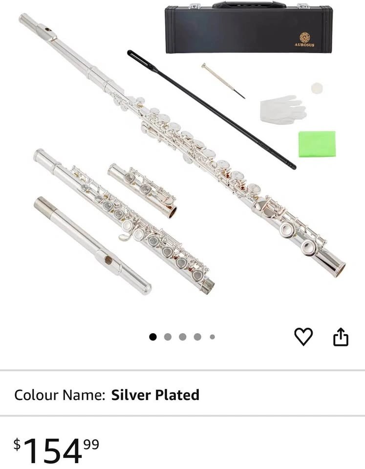 New in Box-16 17 keys offset g e key colour c flute - photo 4
