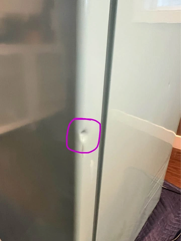 10 cu.ft. Fridge - photo 3