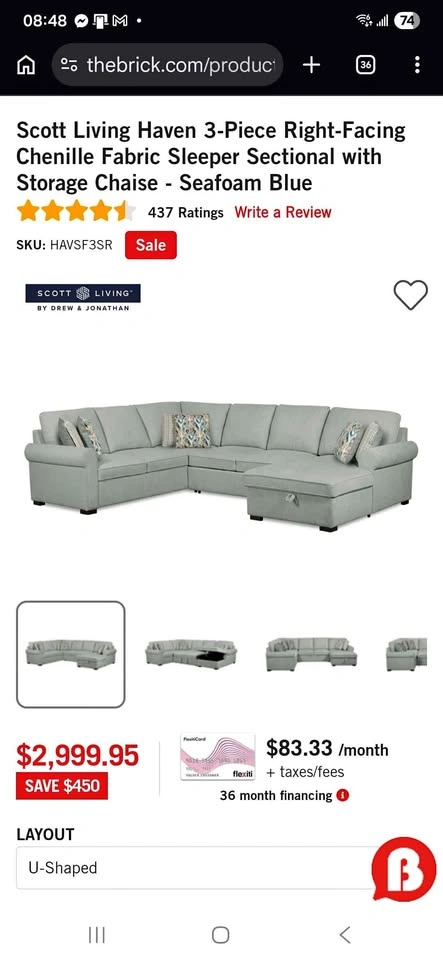 Sectional Sofa with Pull Out Bed and Storage