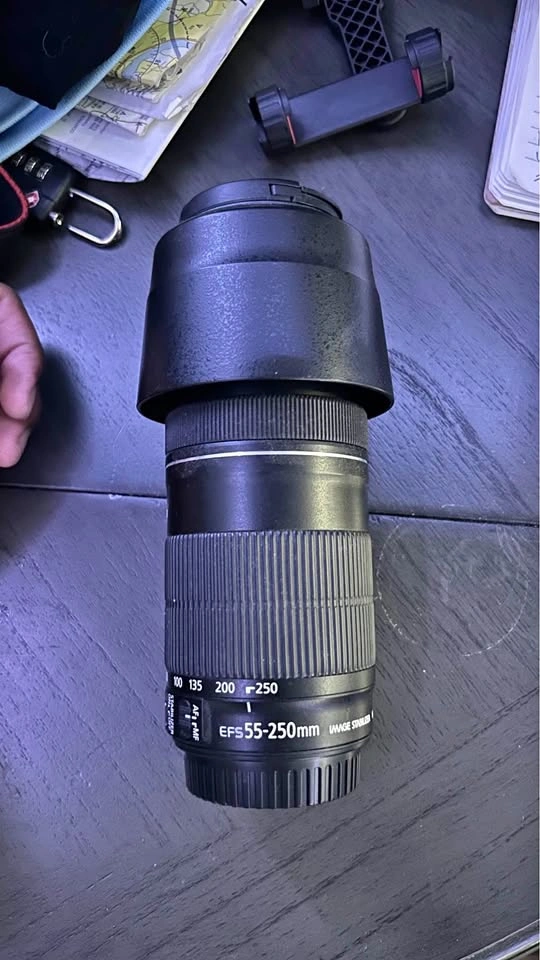 Canon EOS 55-250mm IS STM Lens