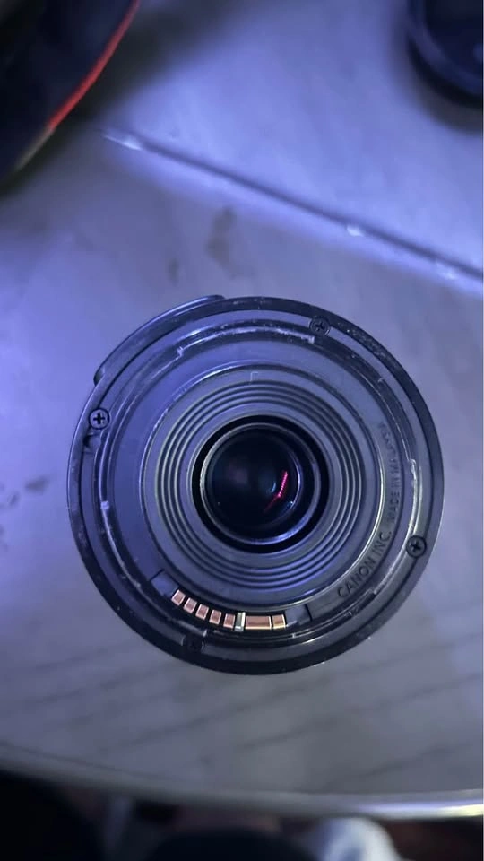 Canon EOS 55-250mm IS STM Lens - photo 3