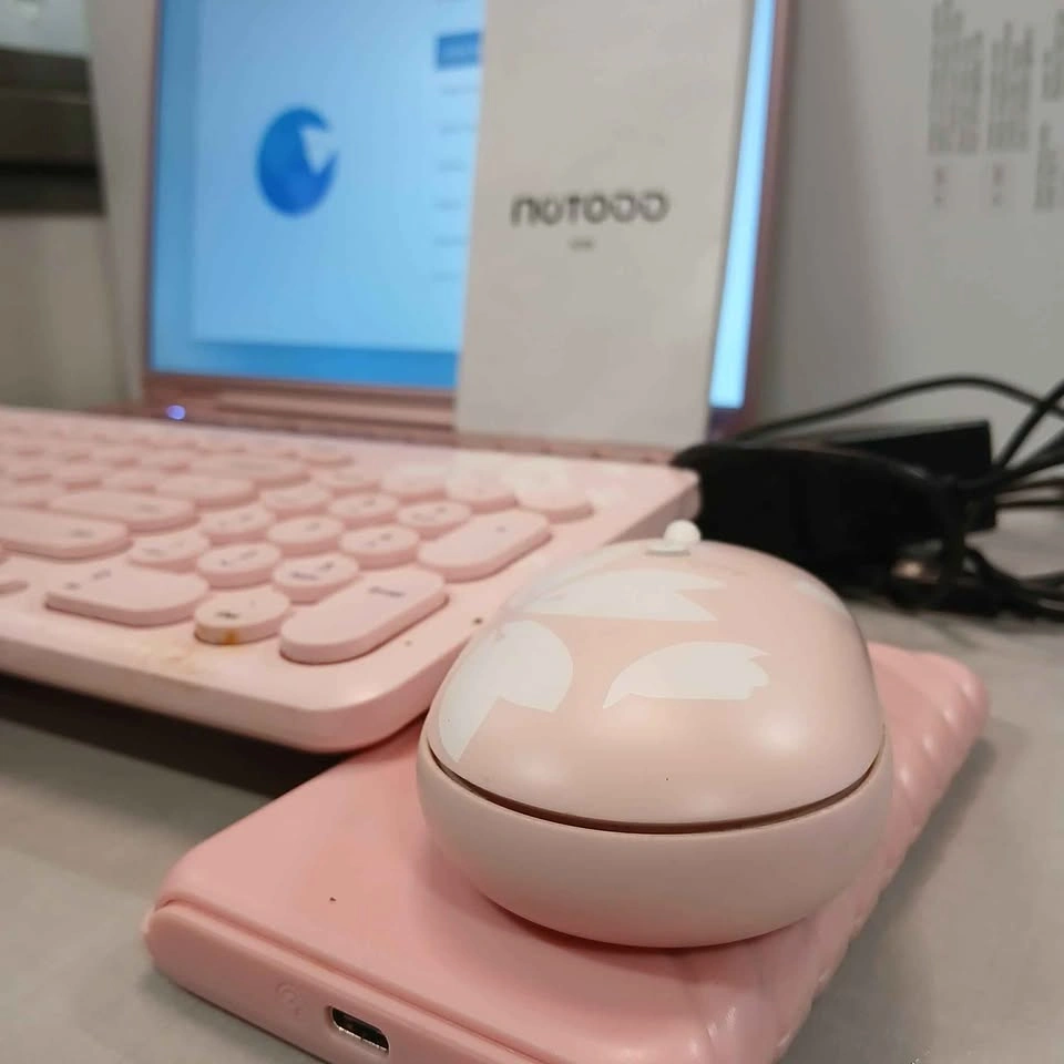 Barely Used Laptop + Pink Accessories Bundle - photo 3