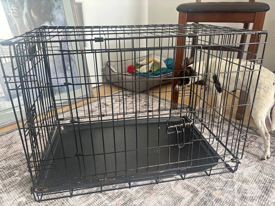 Dog crate