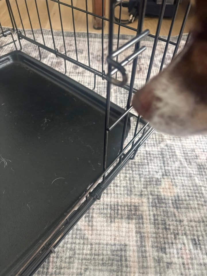 Dog crate - photo 2