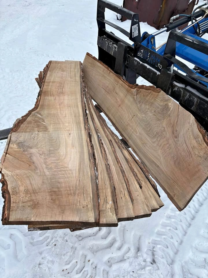 Maple Boards
