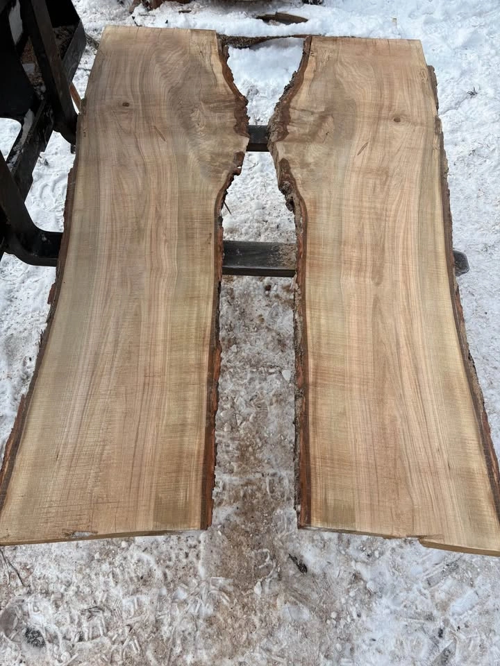 Maple Boards - photo 2