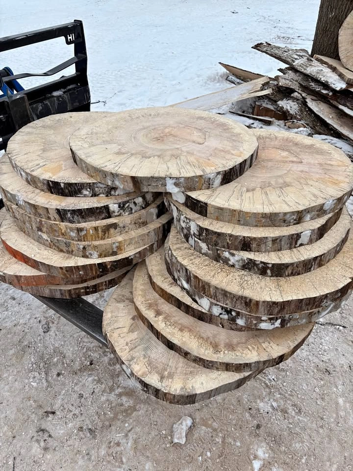 Spalted Maple Rounds - 2" Thick, 2' Wide