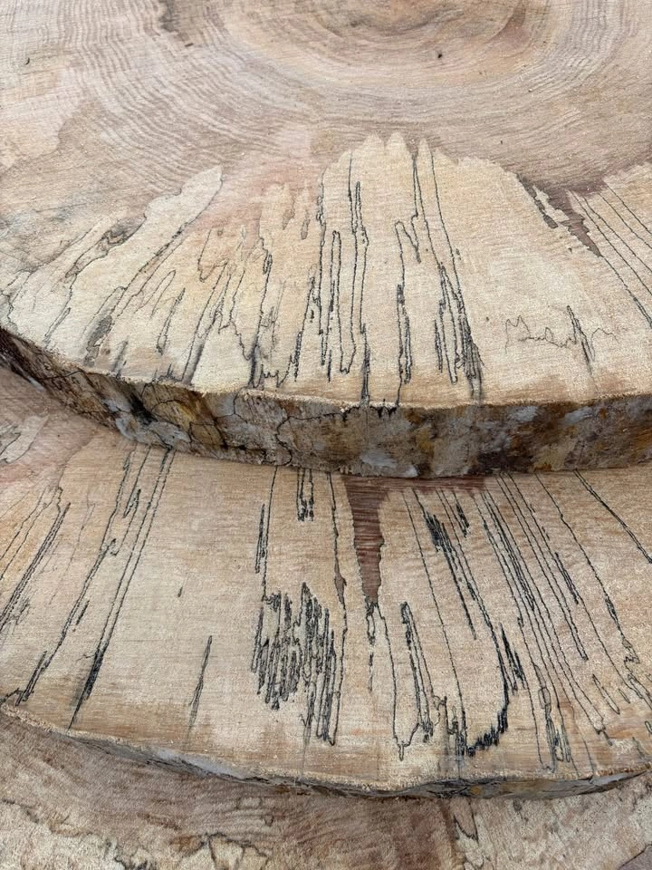 Spalted Maple Rounds - 2" Thick, 2' Wide - photo 4