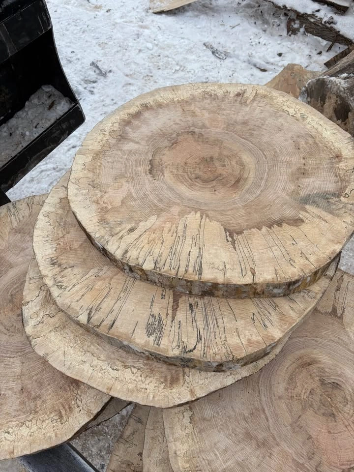 Spalted Maple Rounds - 2" Thick, 2' Wide - photo 5