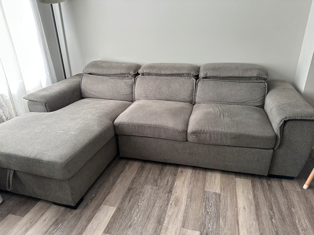 Couch with Pull Out Bed