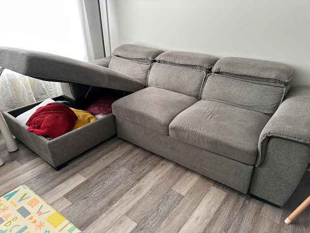 Couch with Pull Out Bed - photo 2