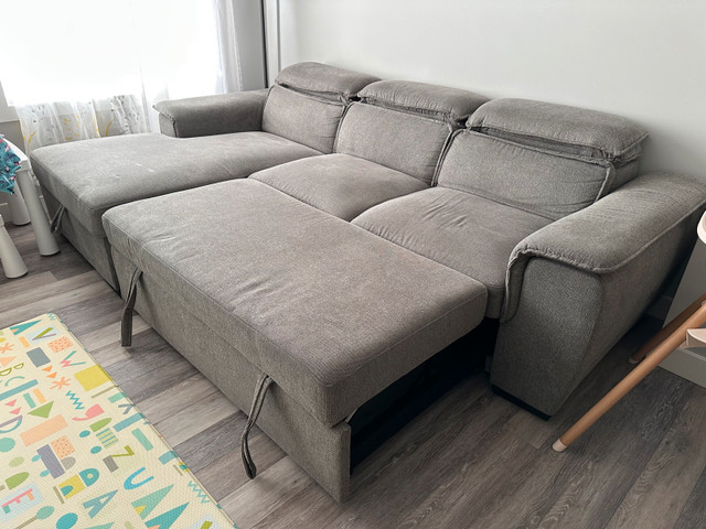 Couch with Pull Out Bed - photo 3