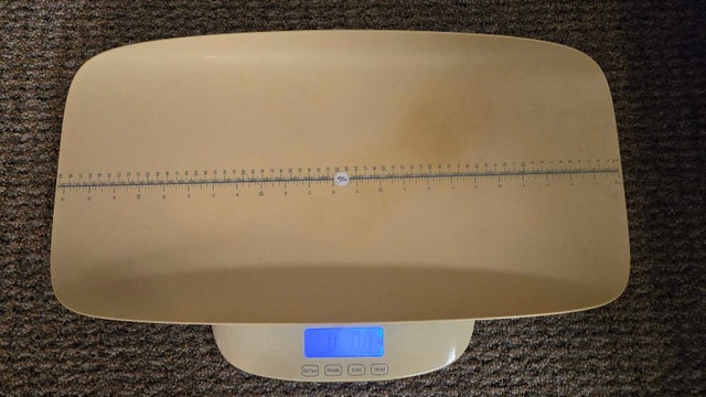 Pediatric Scale